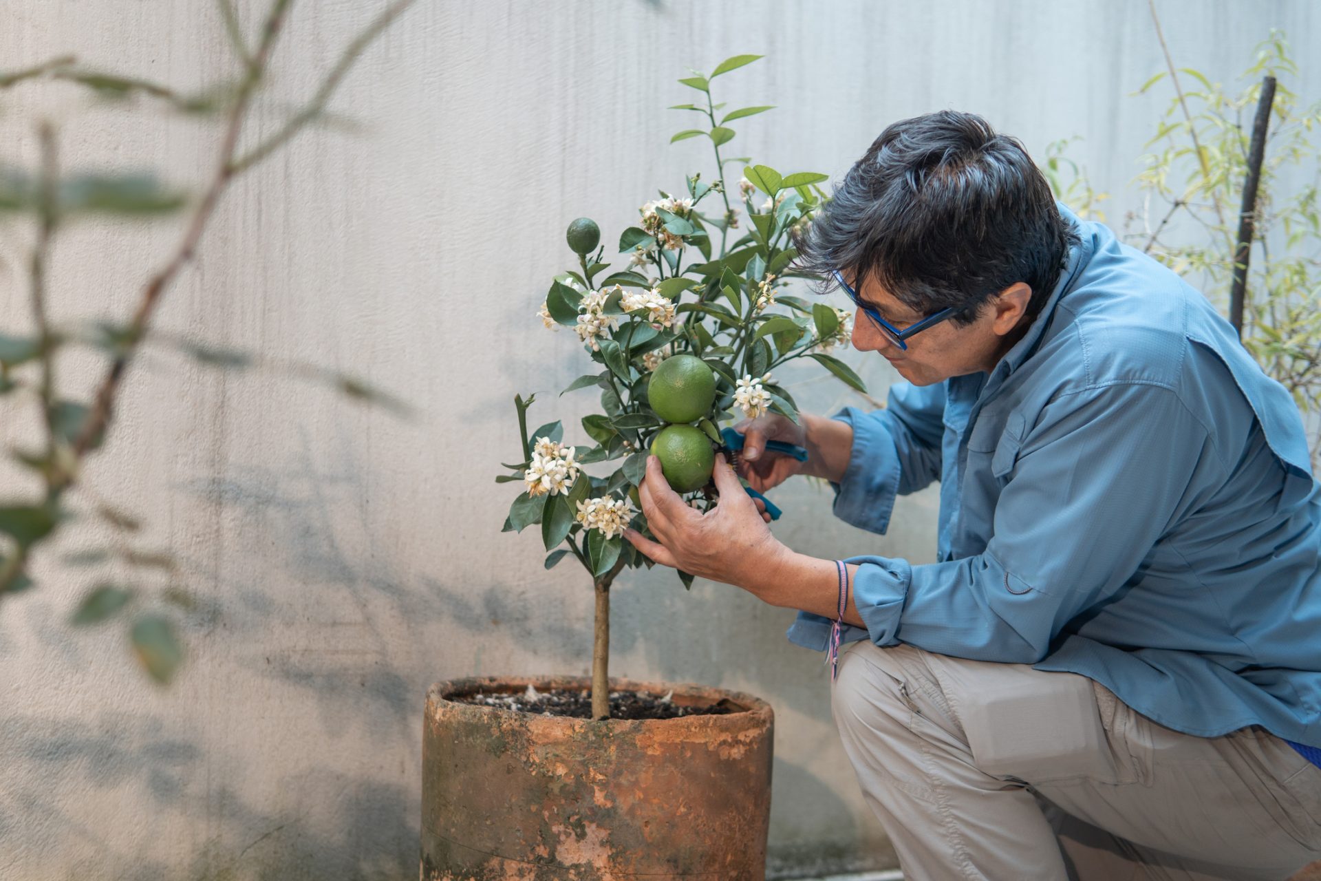 Grow Your Own and Enjoy the Fruits of Your Labor